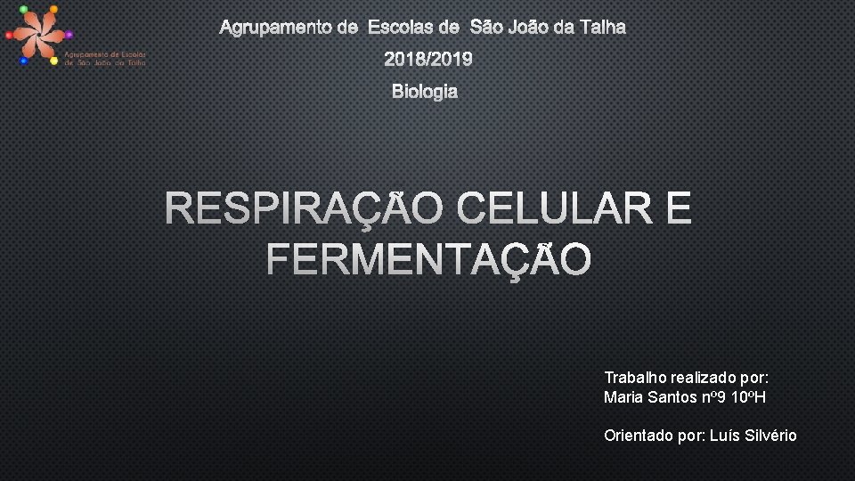 AGRUPAMENTO DE ESCOLAS DE SÃO JOÃO DA TALHA 2018/2019 BIOLOGIA RESPIRAÇÃO CELULAR E FERMENTAÇÃO