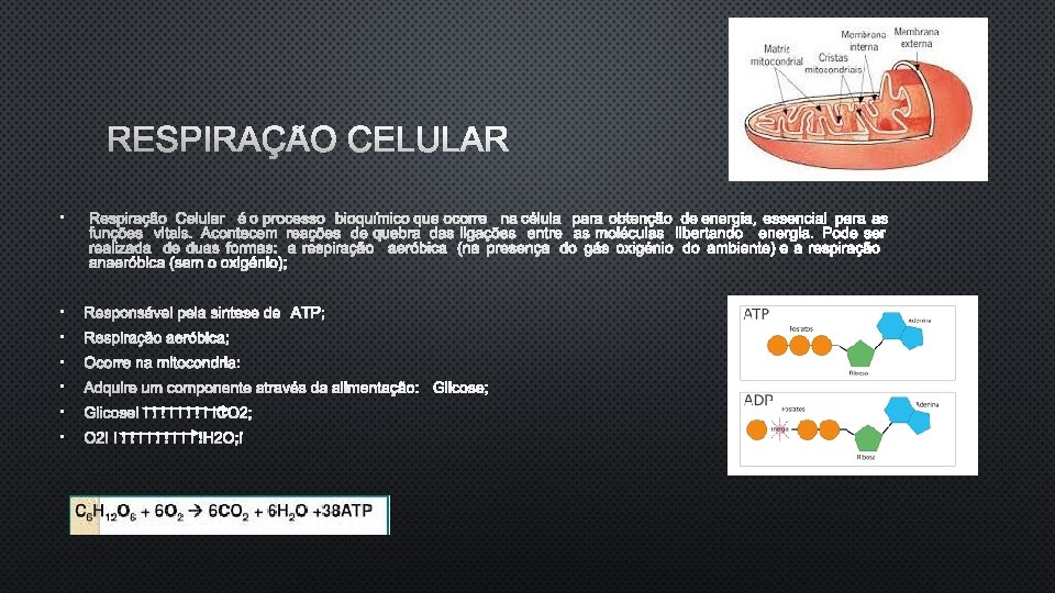 RESPIRAÇÃO CELULAR • RESPIRAÇÃO CELULAR É O PROCESSO BIOQUÍMICO QUE OCORRE NA CÉLULA PARA