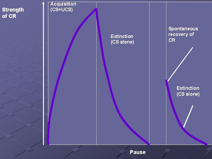 Strength of CR Acquisition (CS+UCS) Extinction (CS alone) Spontaneous recovery of CR Extinction (CS