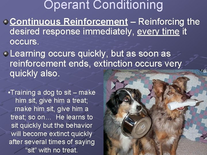 Operant Conditioning Continuous Reinforcement – Reinforcing the desired response immediately, every time it occurs.