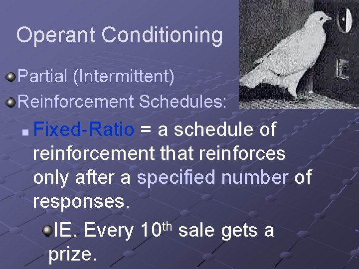 Operant Conditioning Partial (Intermittent) Reinforcement Schedules: n Fixed-Ratio = a schedule of reinforcement that