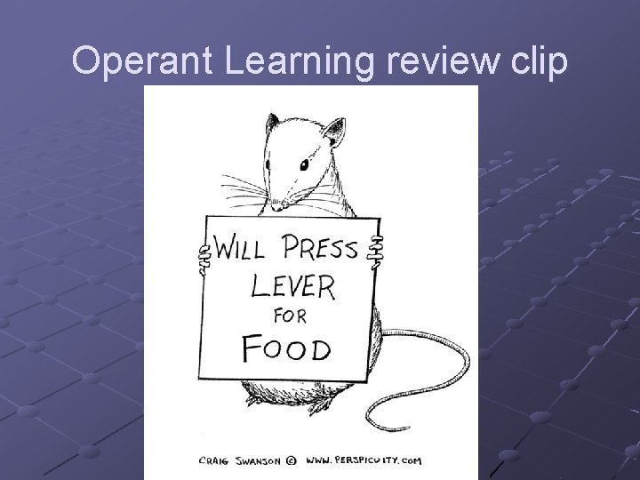 Operant Learning review clip 