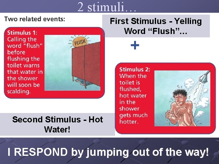 2 stimuli… First Stimulus - Yelling Word “Flush”… Second Stimulus - Hot Water! I