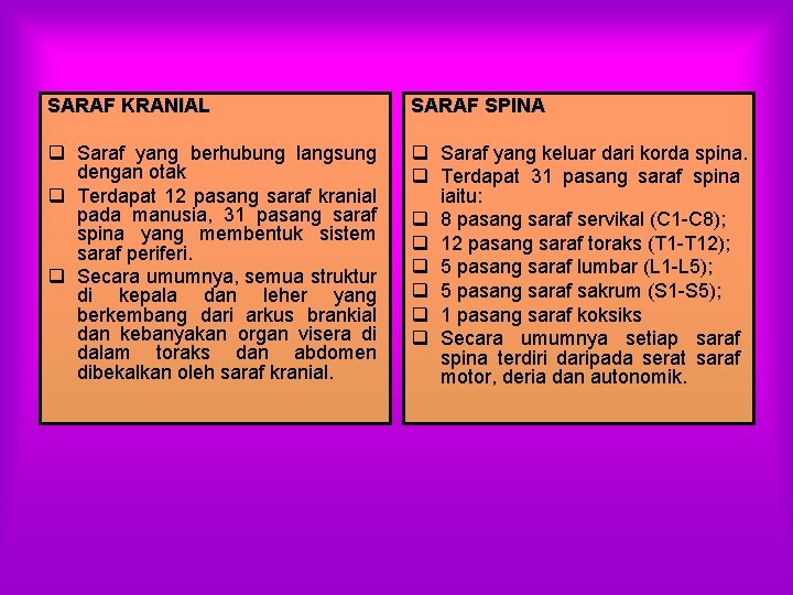 SARAF KRANIAL SARAF SPINA q Saraf yang berhubung langsung dengan otak q Terdapat 12