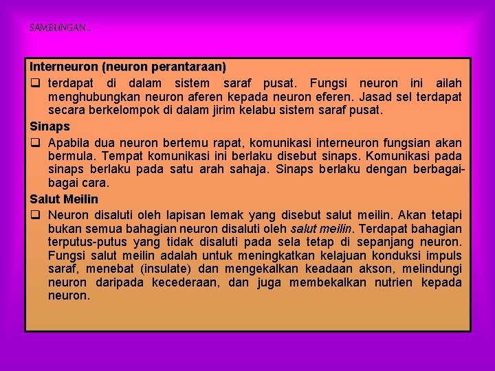 SAMBUNGAN… Interneuron (neuron perantaraan) q terdapat di dalam sistem saraf pusat. Fungsi neuron ini