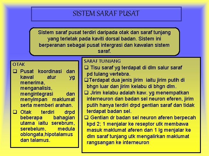 SISTEM SARAF PUSAT Sistem saraf pusat terdiri daripada otak dan saraf tunjang yang terletak