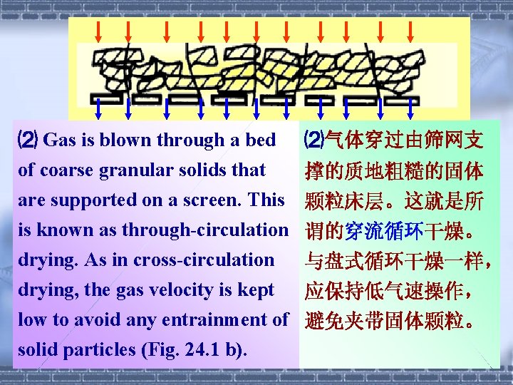 ⑵ Gas is blown through a bed ⑵气体穿过由筛网支 of coarse granular solids that 撑的质地粗糙的固体