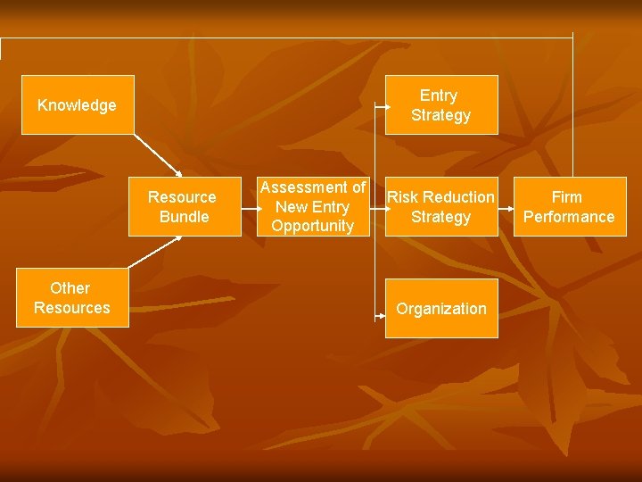 Entry Strategy Knowledge Resource Bundle Other Resources Assessment of New Entry Opportunity Risk Reduction