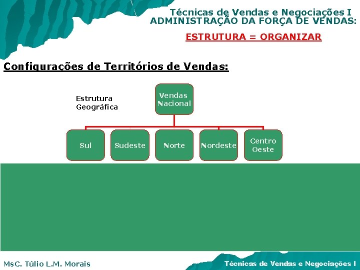 Técnicas de Vendas e Negociações I ADMINISTRAÇÃO DA FORÇA DE VENDAS: ESTRUTURA = ORGANIZAR