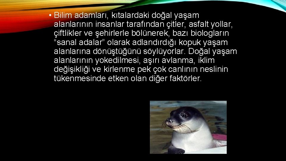  • Bilim adamları, kıtalardaki doğal yaşam alanlarının insanlar tarafından çitler, asfalt yollar, çiftlikler