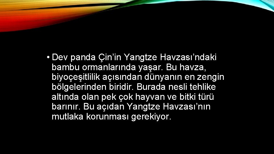 • Dev panda Çin’in Yangtze Havzası’ndaki bambu ormanlarında yaşar. Bu havza, biyoçeşitlilik açısından • Dev panda Çin’in Yangtze Havzası’ndaki bambu ormanlarında yaşar. Bu havza, biyoçeşitlilik açısından