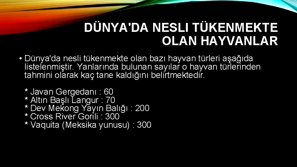 DÜNYA'DA NESLI TÜKENMEKTE OLAN HAYVANLAR • Dünya'da nesli tükenmekte olan bazı hayvan türleri aşağıda DÜNYA'DA NESLI TÜKENMEKTE OLAN HAYVANLAR • Dünya'da nesli tükenmekte olan bazı hayvan türleri aşağıda