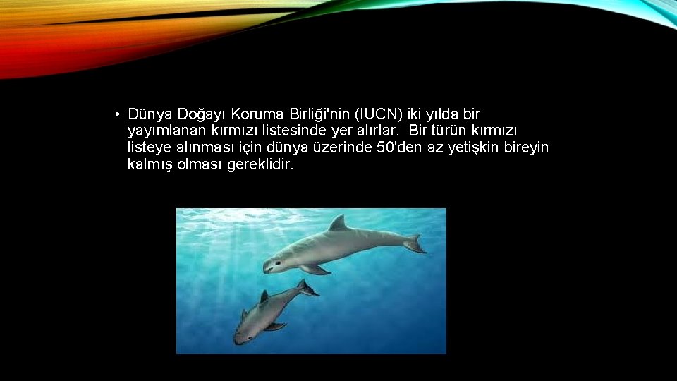  • Dünya Doğayı Koruma Birliği'nin (IUCN) iki yılda bir yayımlanan kırmızı listesinde yer