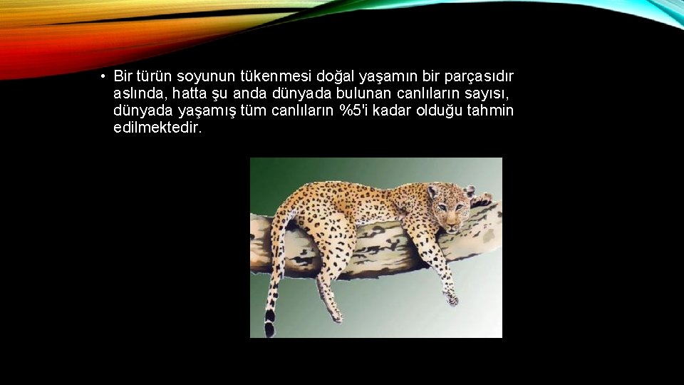 • Bir türün soyunun tükenmesi doğal yaşamın bir parçasıdır aslında, hatta şu anda • Bir türün soyunun tükenmesi doğal yaşamın bir parçasıdır aslında, hatta şu anda