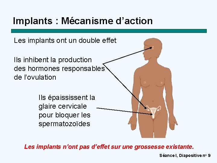 Implants : Mécanisme d’action Les implants ont un double effet Ils inhibent la production