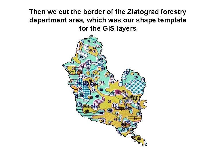 Then we cut the border of the Zlatograd forestry department area, which was our