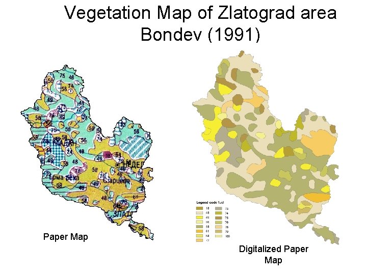 Vegetation Map of Zlatograd area Bondev (1991) Paper Map Digitalized Paper Map 