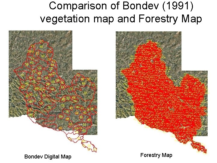 Comparison of Bondev (1991) vegetation map and Forestry Map Corine Map Bondev Digital Map