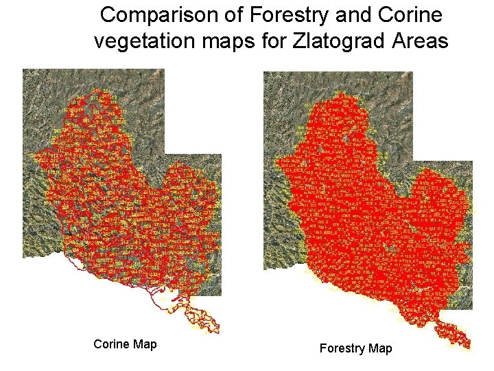 Comparison of Forestry and Corine vegetation maps for Zlatograd Areas Corine Map Forestry Map