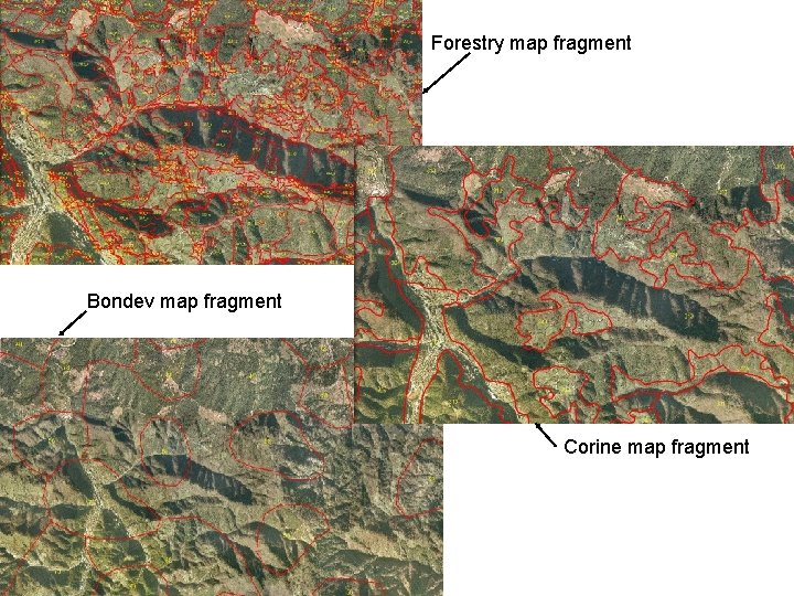 Forestry map fragment Bondev map fragment Corine map fragment 