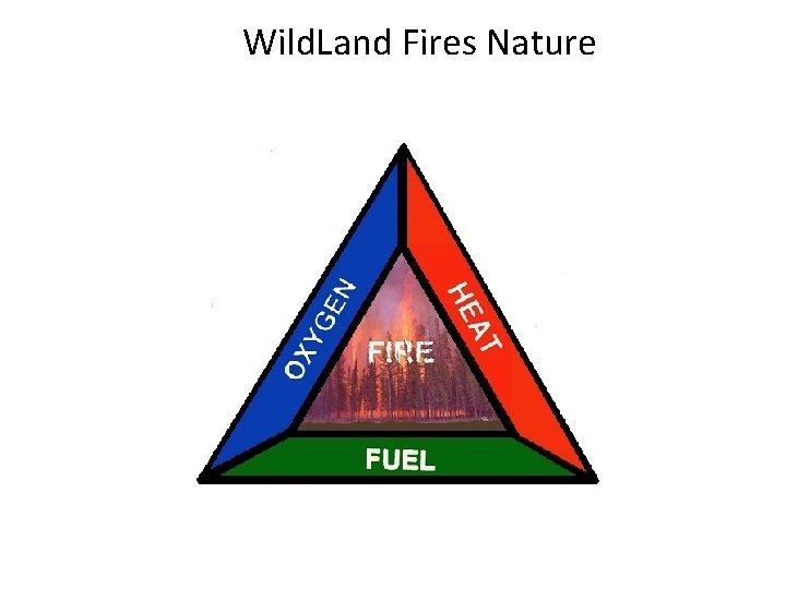 Wild. Land Fires Nature 