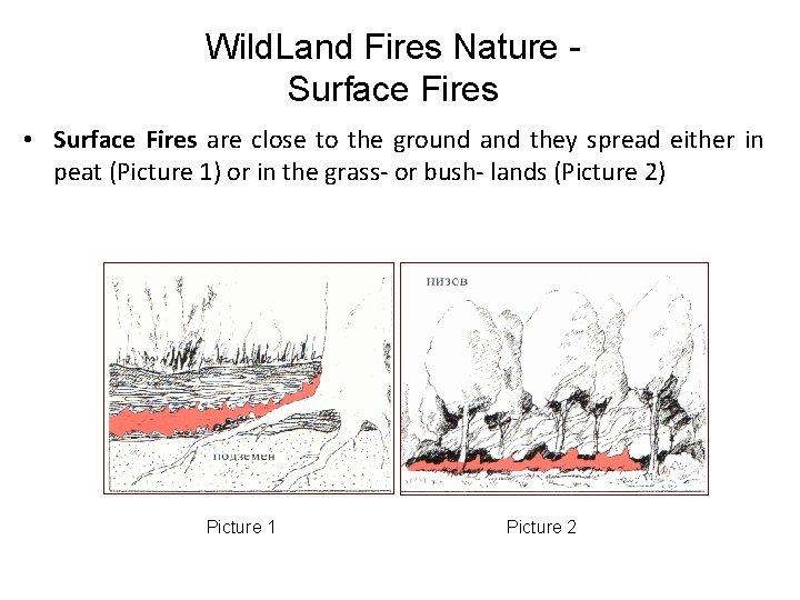 Wild. Land Fires Nature Surface Fires • Surface Fires are close to the ground