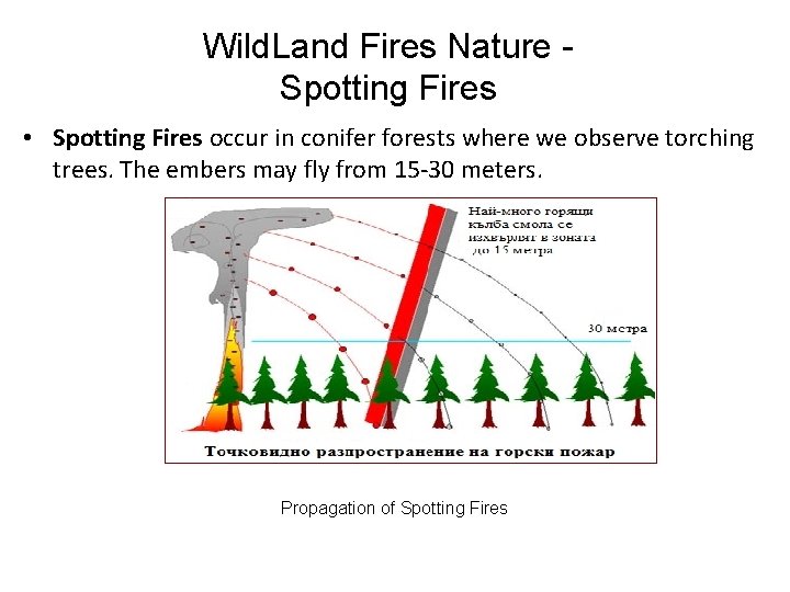 Wild. Land Fires Nature Spotting Fires • Spotting Fires occur in conifer forests where