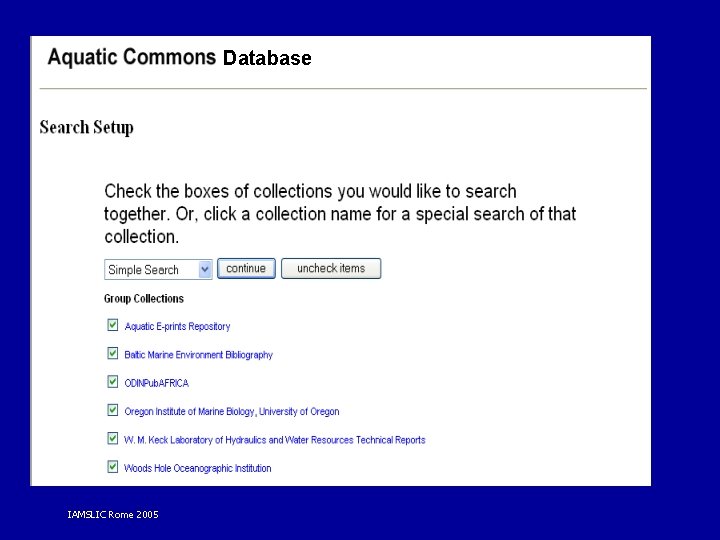 Database IAMSLIC Rome 2005 