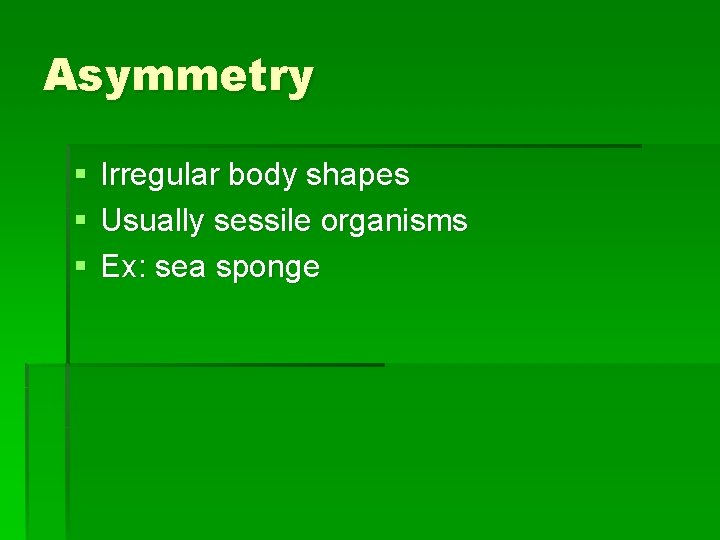 Asymmetry § § § Irregular body shapes Usually sessile organisms Ex: sea sponge 