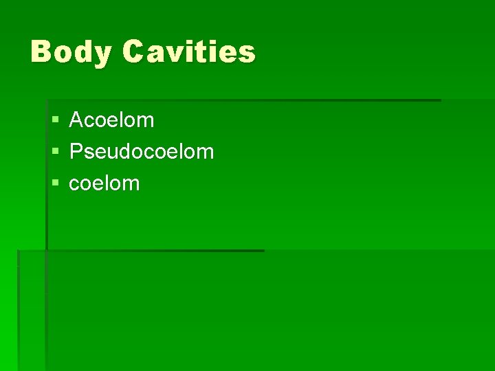 Body Cavities § § § Acoelom Pseudocoelom 