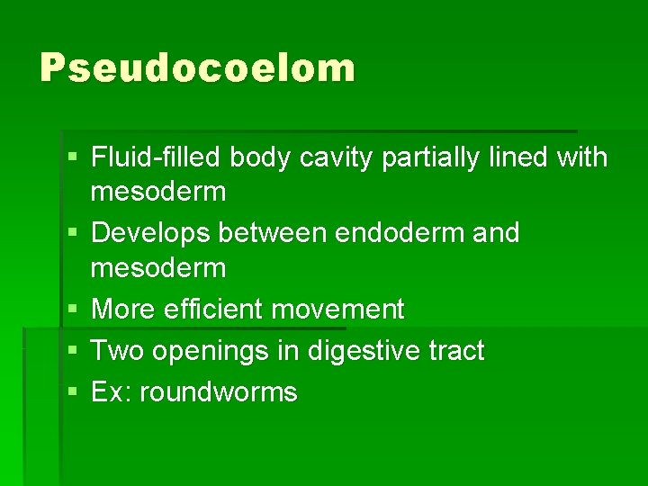 Pseudocoelom § Fluid-filled body cavity partially lined with mesoderm § Develops between endoderm and