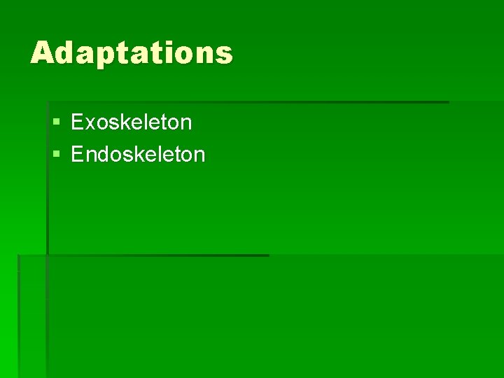 Adaptations § Exoskeleton § Endoskeleton 