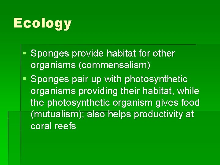 Ecology § Sponges provide habitat for other organisms (commensalism) § Sponges pair up with