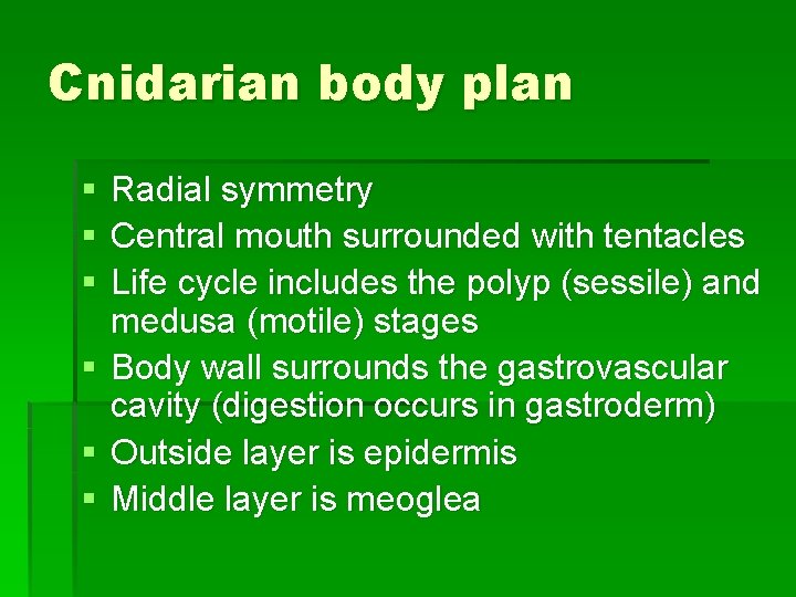 Cnidarian body plan § § § Radial symmetry Central mouth surrounded with tentacles Life