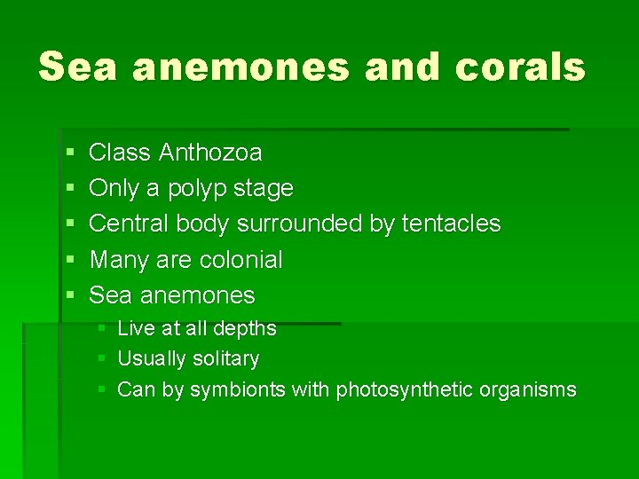 Sea anemones and corals § § § Class Anthozoa Only a polyp stage Central