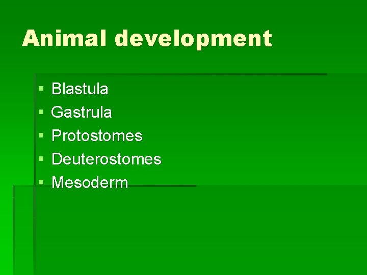 Animal development § § § Blastula Gastrula Protostomes Deuterostomes Mesoderm 