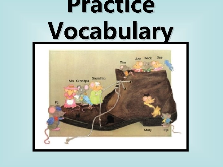 Practice Vocabulary 