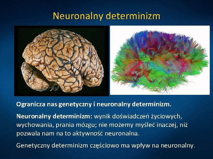 Neuronalny determinizm Ogranicza nas genetyczny i neuronalny determinizm. Neuronalny determinizm: wynik doświadczeń życiowych, wychowania,