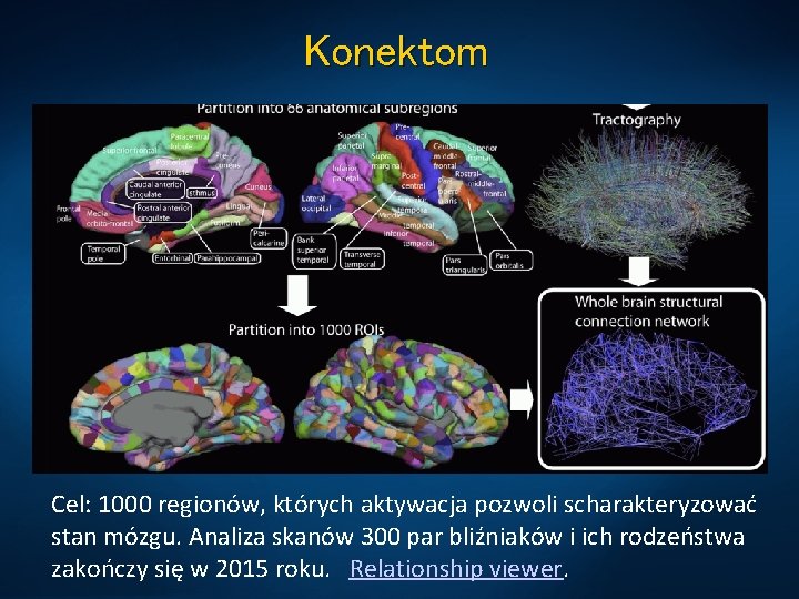 Konektom Cel: 1000 regionów, których aktywacja pozwoli scharakteryzować stan mózgu. Analiza skanów 300 par
