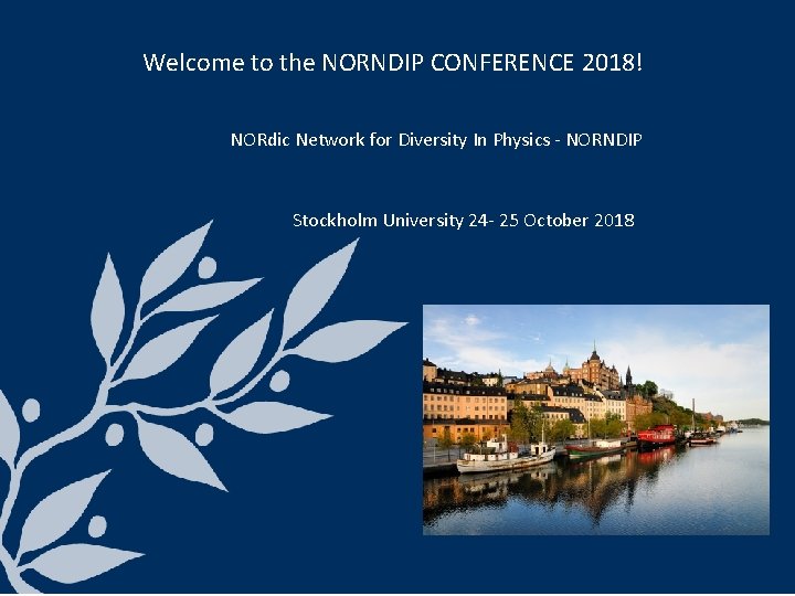 Welcome to the NORNDIP CONFERENCE 2018! NORdic Network for Diversity In Physics - NORNDIP