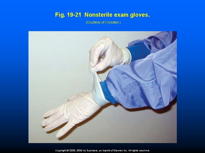 Fig. 19 -21 Nonsterile exam gloves. (Courtesy of Crosstex. ) Copyright © 2009, 2006