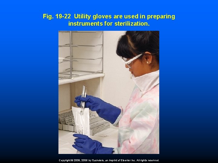 Fig. 19 -22 Utility gloves are used in preparing instruments for sterilization. Copyright ©