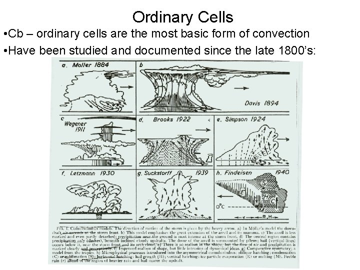 Ordinary Cells • Cb – ordinary cells are the most basic form of convection