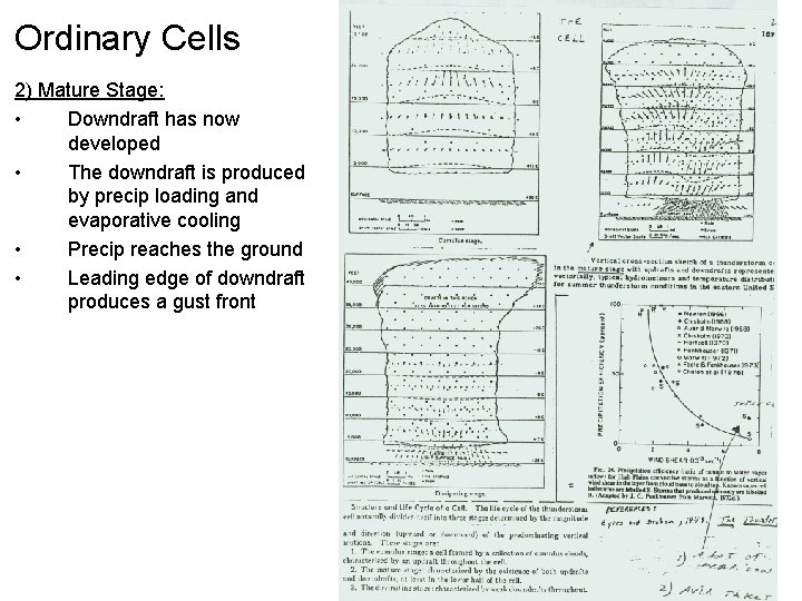 Ordinary Cells 2) Mature Stage: • Downdraft has now developed • The downdraft is