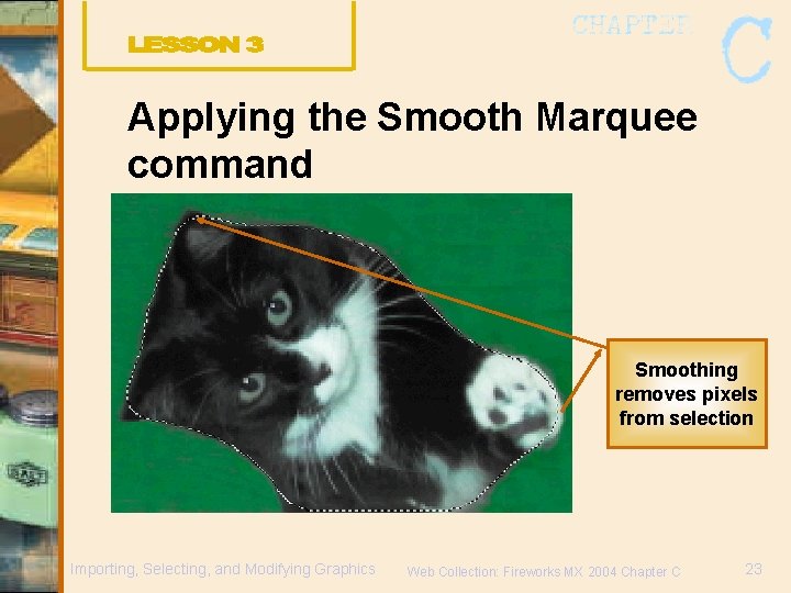 Applying the Smooth Marquee command Smoothing removes pixels from selection Importing, Selecting, and Modifying