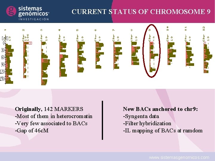 CURRENT STATUS OF CHROMOSOME 9 Originally, 142 MARKERS -Most of them in heterocromatin -Very