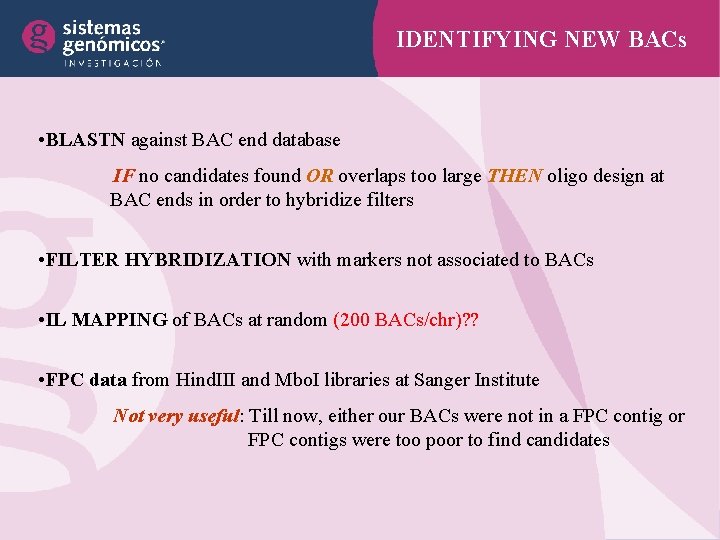 IDENTIFYING NEW BACs • BLASTN against BAC end database IF no candidates found OR