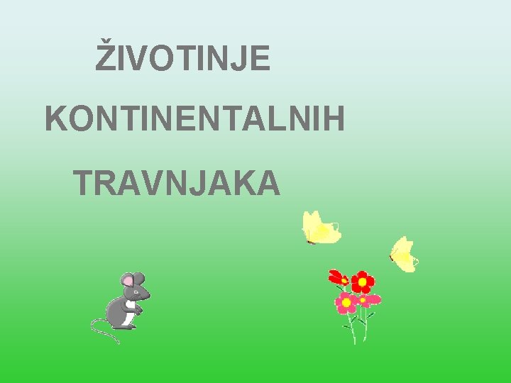 ŽIVOTINJE KONTINENTALNIH TRAVNJAKA 