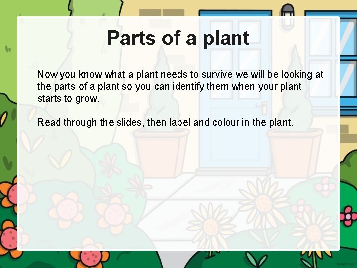 Parts of a plant Now you know what a plant needs to survive we