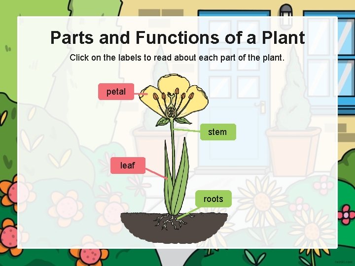 Parts and Functions of a Plant Click on the labels to read about each